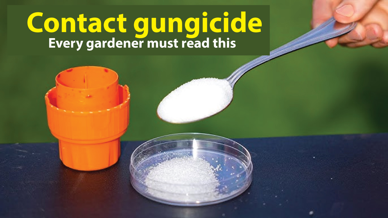 Contact Fungicides